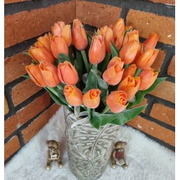 Francúzske tulipány  - O...