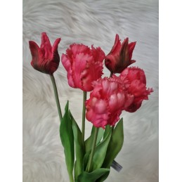 Kytička tulipánov - ružová