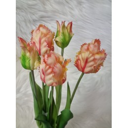 Kytička tulipánov - ružovo...