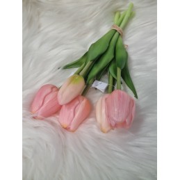 Kytička tulipánov - bledo...