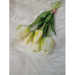 Kytička tulipánov - biela
