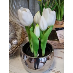 Silikónové tulipány v...