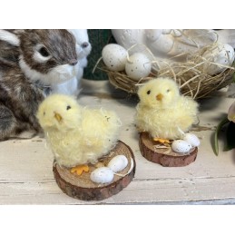 Kuriatko s vajíčkami