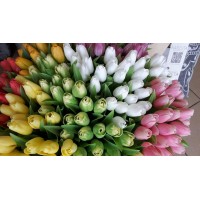 Umelé tulipány - ‼️Výpredaj  ‼️